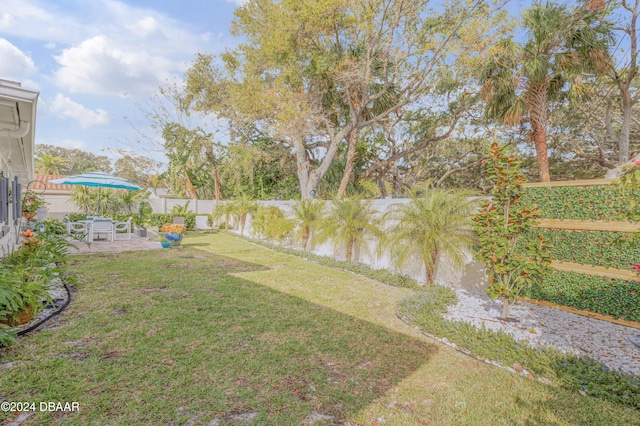 view of yard with a patio