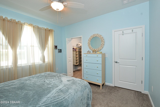 carpeted bedroom featuring a spacious closet, ceiling fan, and a closet