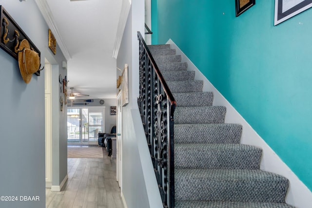 stairs with ceiling fan, wood-type flooring, and ornamental molding