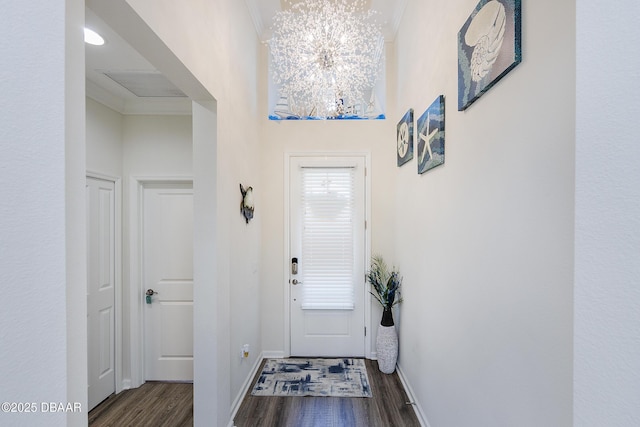 doorway featuring a wealth of natural light, dark hardwood / wood-style flooring, ornamental molding, and a chandelier