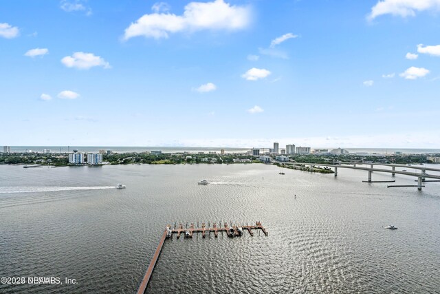 241 Riverside Dr Unit 2301, Holly Hill, FL 32117 - property view of water