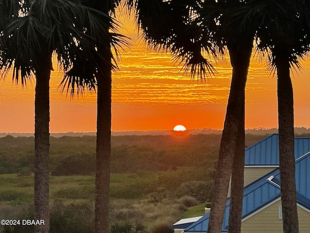 view of nature at dusk