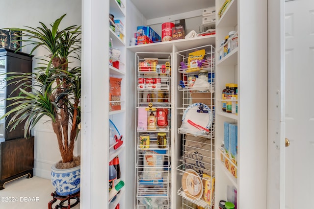 view of pantry