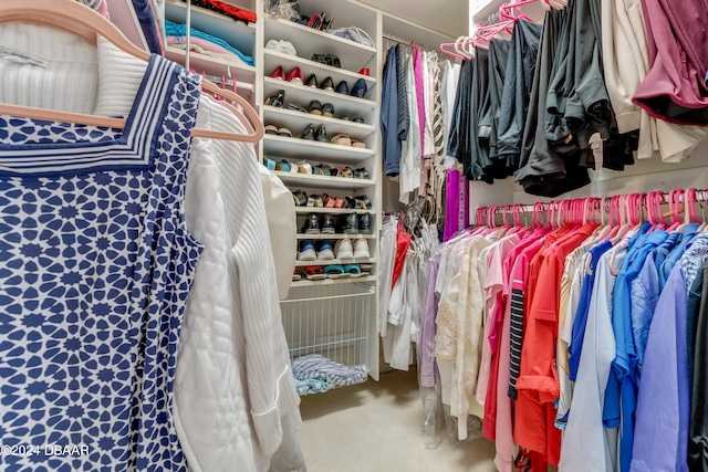 spacious closet featuring carpet flooring