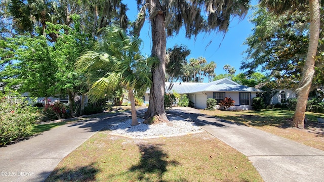 1927 Orange Tree Dr, Edgewater, FL 32141 - view of front facade with driveway, a garage, a front lawn, and metal roof