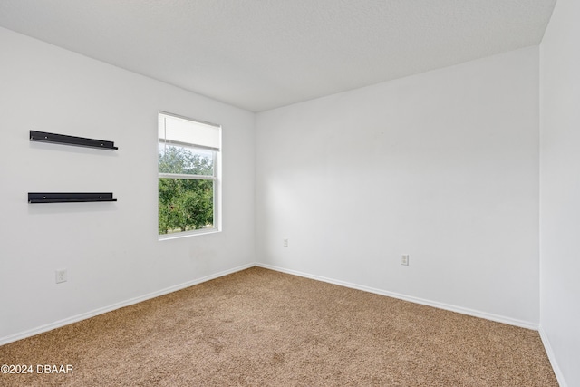 313 Bayberry Lakes Blvd, Daytona Beach, FL 32124 - photo 22