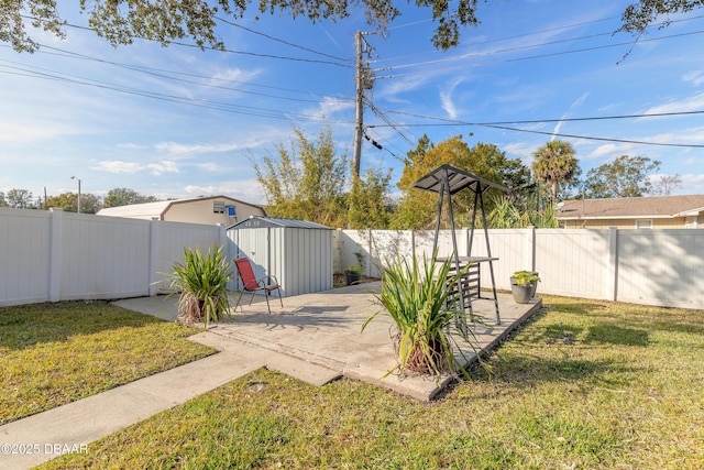 view of yard with a patio area and a storage unit