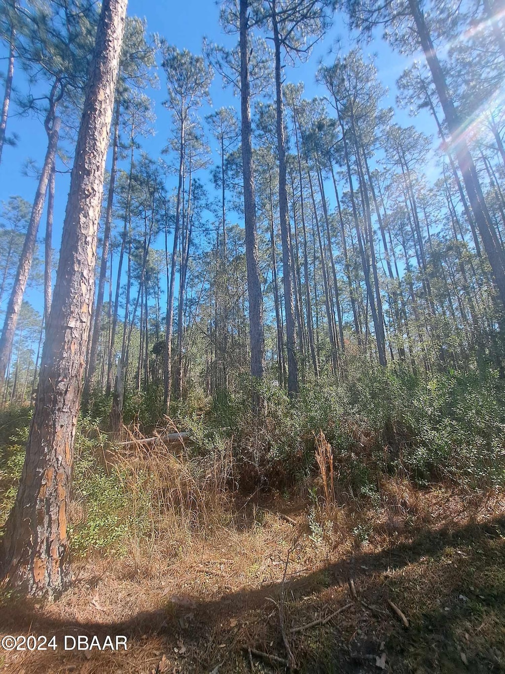 5146 Lime Ave, Bunnell, FL 32110