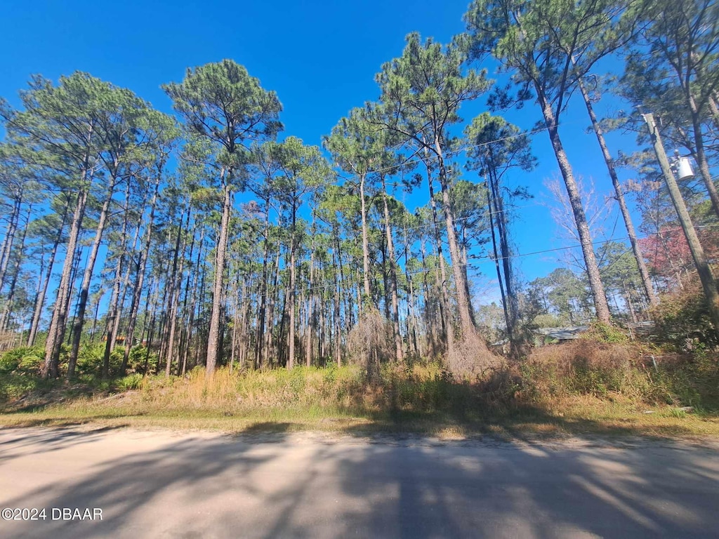 5146 Lime Ave, Bunnell, FL 32110