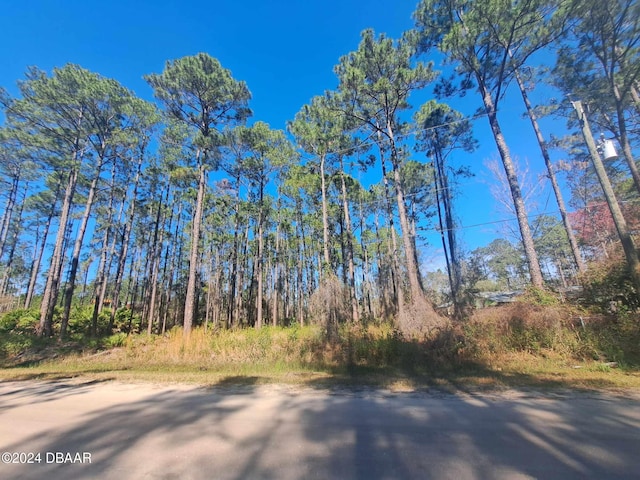 5146 Lime Ave, Bunnell, FL 32110