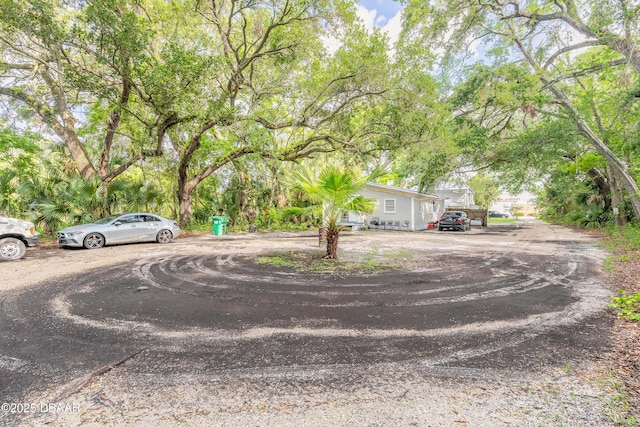 449 3rd St, Holly Hill, FL 32117 - photo 9