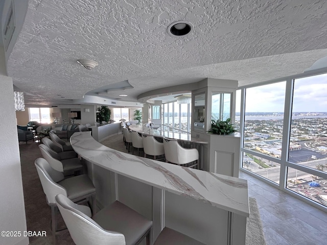 dining room with a textured ceiling