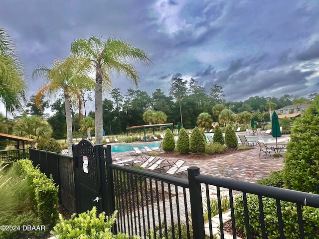 view of pool with a patio area