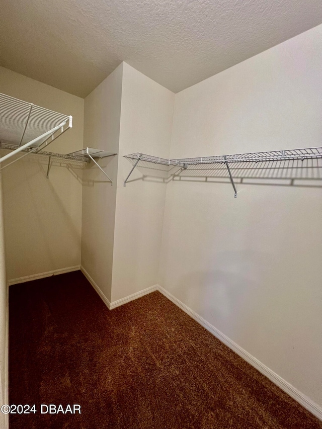 walk in closet with carpet