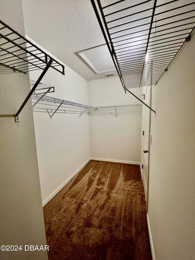 spacious closet with dark colored carpet