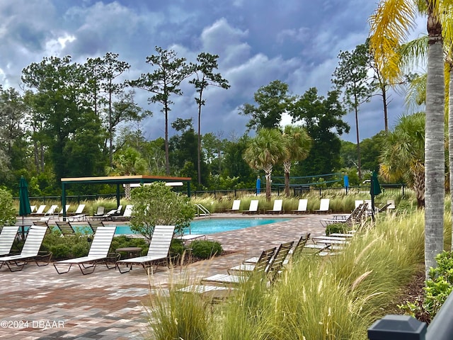 view of pool with a patio