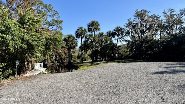 5976 Sawgrass Point Dr, Port Orange, FL 32128 - view of road with view of wooded area