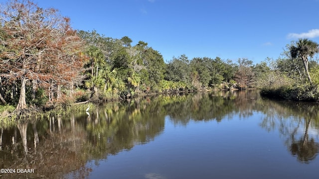 5976 Sawgrass Point Dr, Port Orange, FL 32128 - water view featuring a forest
