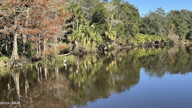 view of water feature