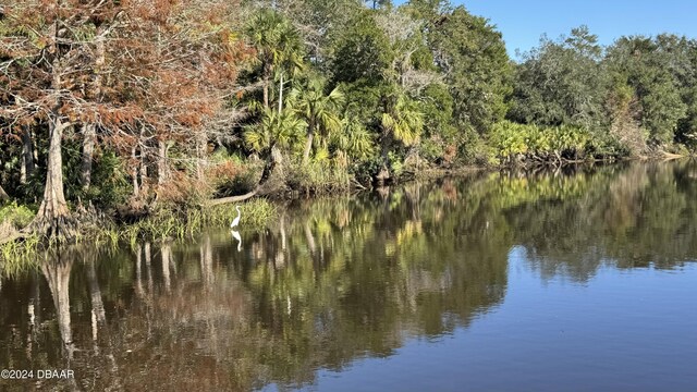 5976 Sawgrass Point Dr, Port Orange, FL 32128 - water view featuring a forest