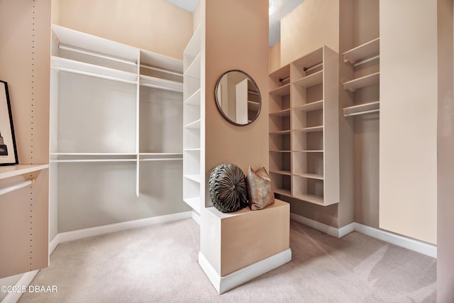 spacious closet featuring carpet flooring