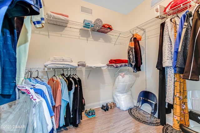 231 Riverside Dr Unit 1806, Holly Hill, FL 32117 - walk in closet with wood finished floors