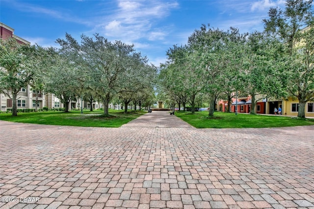 view of community featuring a lawn