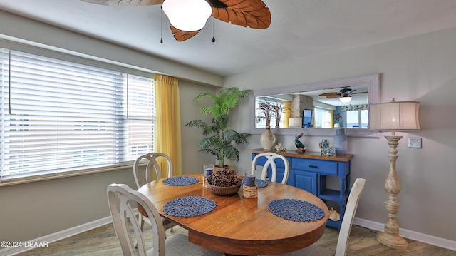 dining room featuring a wealth of natural light, wood-type flooring, and ceiling fan