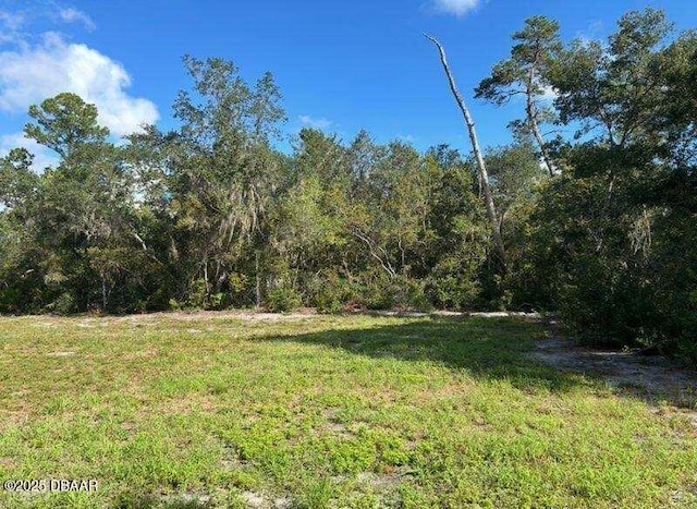 115 Diamond Lake Dr, Crescent City, FL 32112 - photo 2