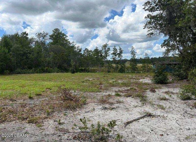 115 Diamond Lake Dr, Crescent City, FL 32112 - photo 10
