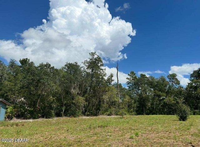 115 Diamond Lake Dr, Crescent City, FL 32112 - photo 3
