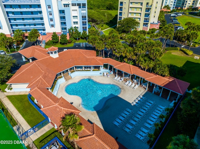 view of pool featuring a patio