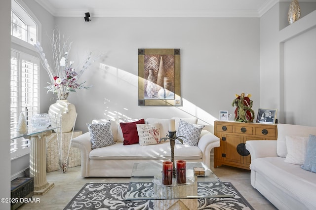 living room with ornamental molding