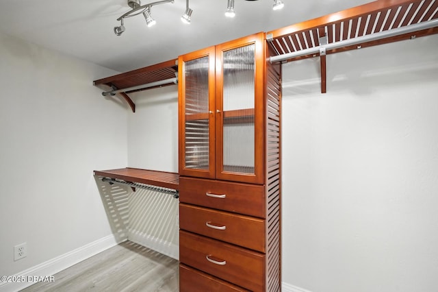 5540 W Bayshore Dr, Port Orange, FL 32127 - spacious closet with wood finished floors