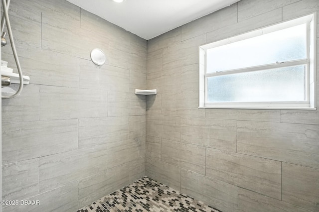 5540 W Bayshore Dr, Port Orange, FL 32127 - full bath featuring tiled shower