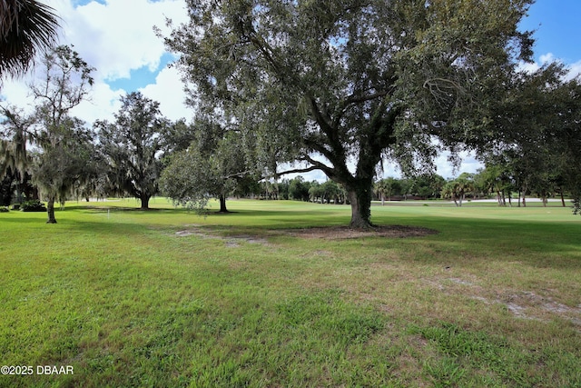 219 Club House Blvd Unit 219, New Smyrna Beach, FL 32168 - view of grassy yard