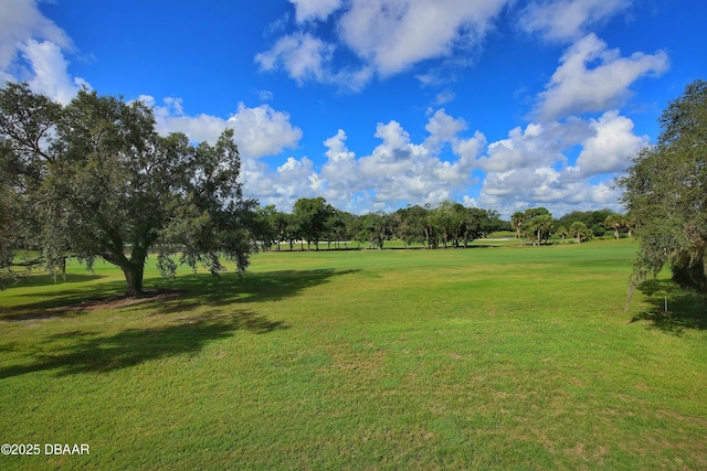 219 Club House Blvd Unit 219, New Smyrna Beach, FL 32168 - view of green lawn featuring view of scattered trees