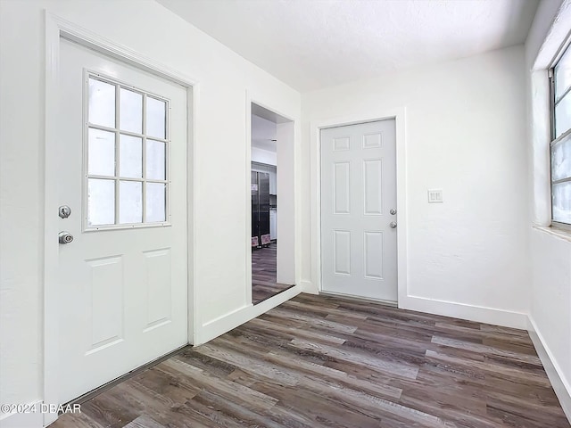 foyer with dark hardwood / wood-style floors