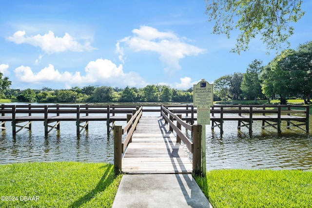 dock area with a water view