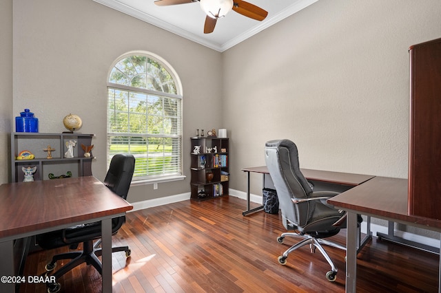 home office featuring dark hardwood / wood-style flooring, a wealth of natural light, ceiling fan, and crown molding