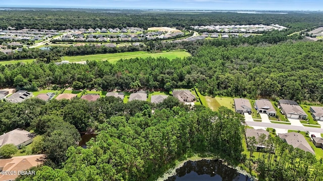 3005 Monaghan Dr, Ormond Beach, FL 32174 - photo 48
