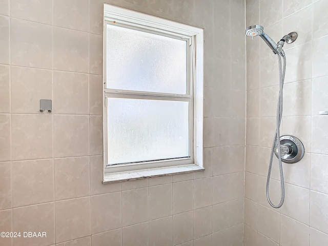 46 Coquina Point Dr, Ormond Beach, FL 32174 - bathroom with plenty of natural light and tiled shower