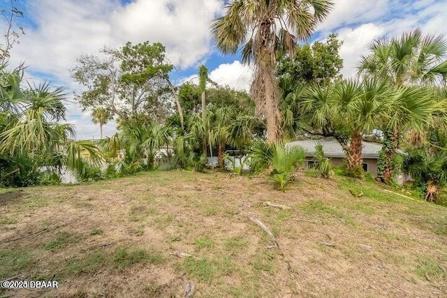 326 Ribault Ave, Daytona Beach, FL 32118 - view of yard