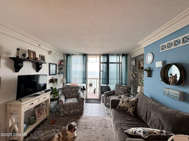 living room with a wall of windows, carpet, ornamental molding, and a textured ceiling