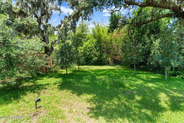 53 Wilmette Ave, Ormond Beach, FL 32174 - photo 29