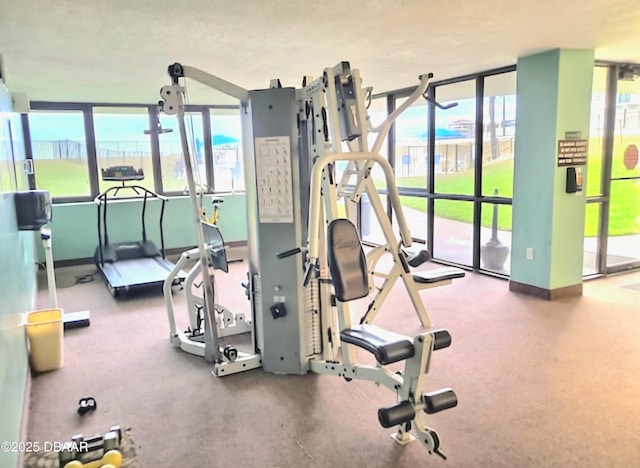 exercise room featuring baseboards and a wealth of natural light