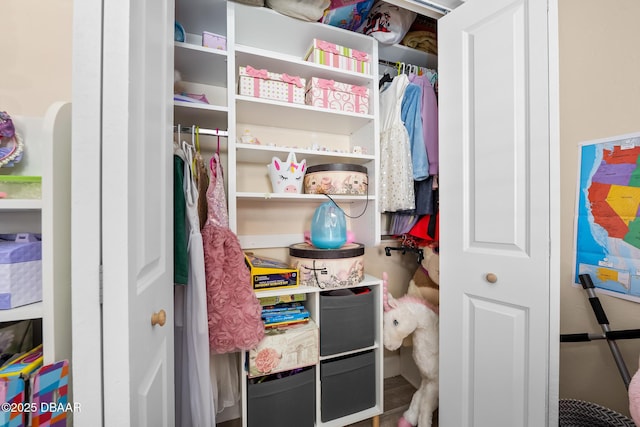 view of closet