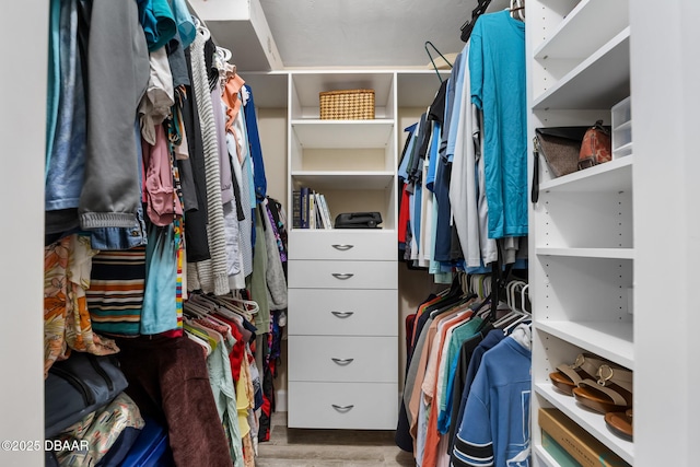 view of walk in closet