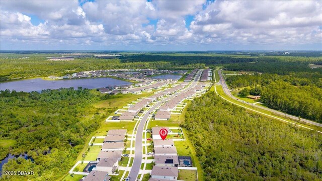 2714 Neverland Dr, New Smyrna Beach, FL 32168 - drone / aerial view of a forest and a large body of water