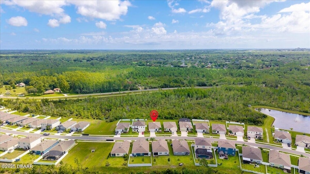 2714 Neverland Dr, New Smyrna Beach, FL 32168 - aerial view of residential area with a forest and a nearby body of water